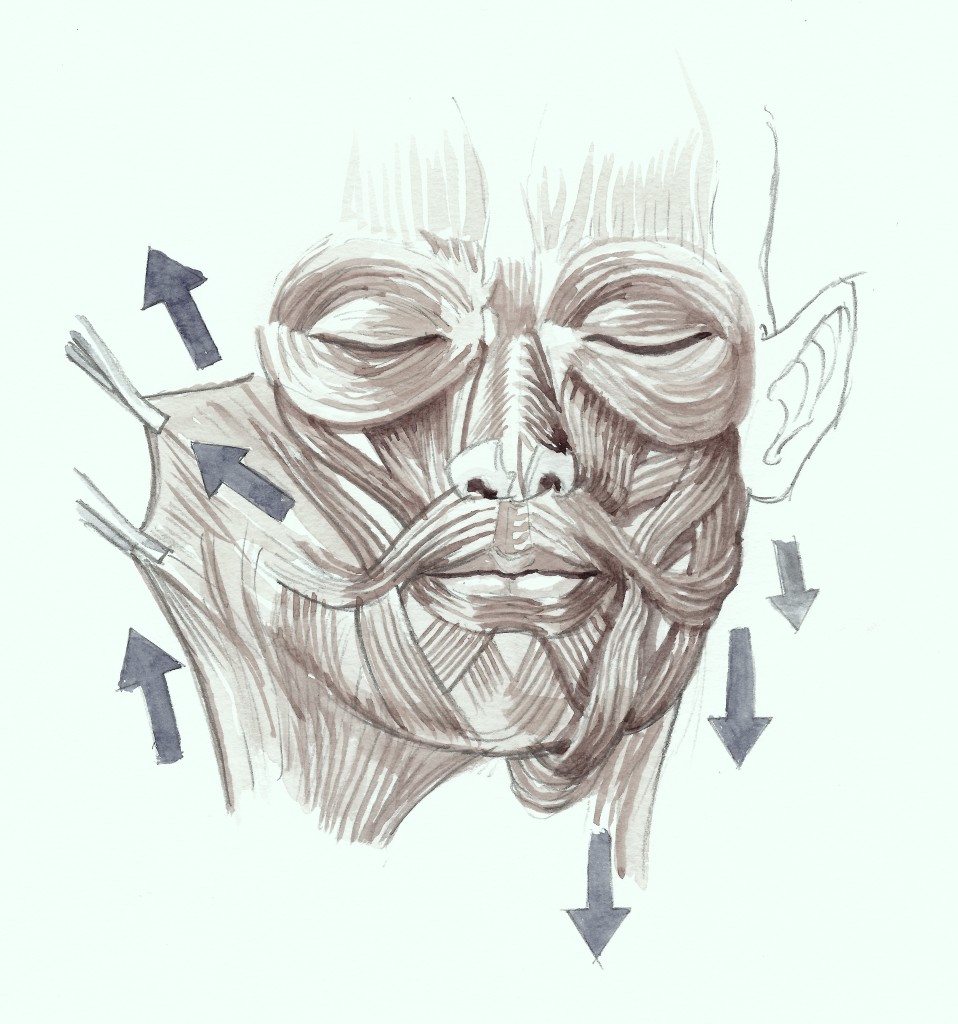 Ansigtsløftning løfter og strammer de slappe ansigtsmuskler